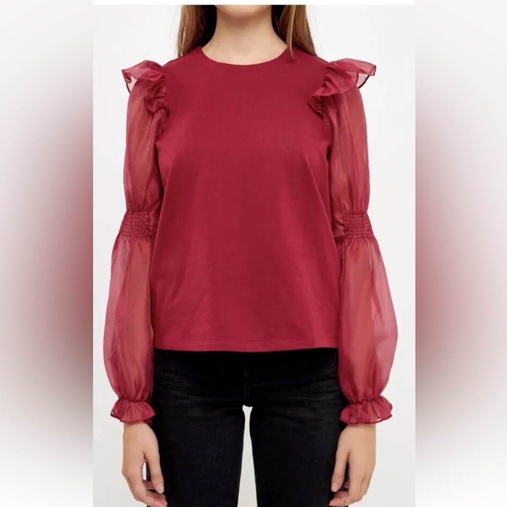 Anthropologie Plus‎ Size Sheer Sleeve Top- worn about 3x- retail 119